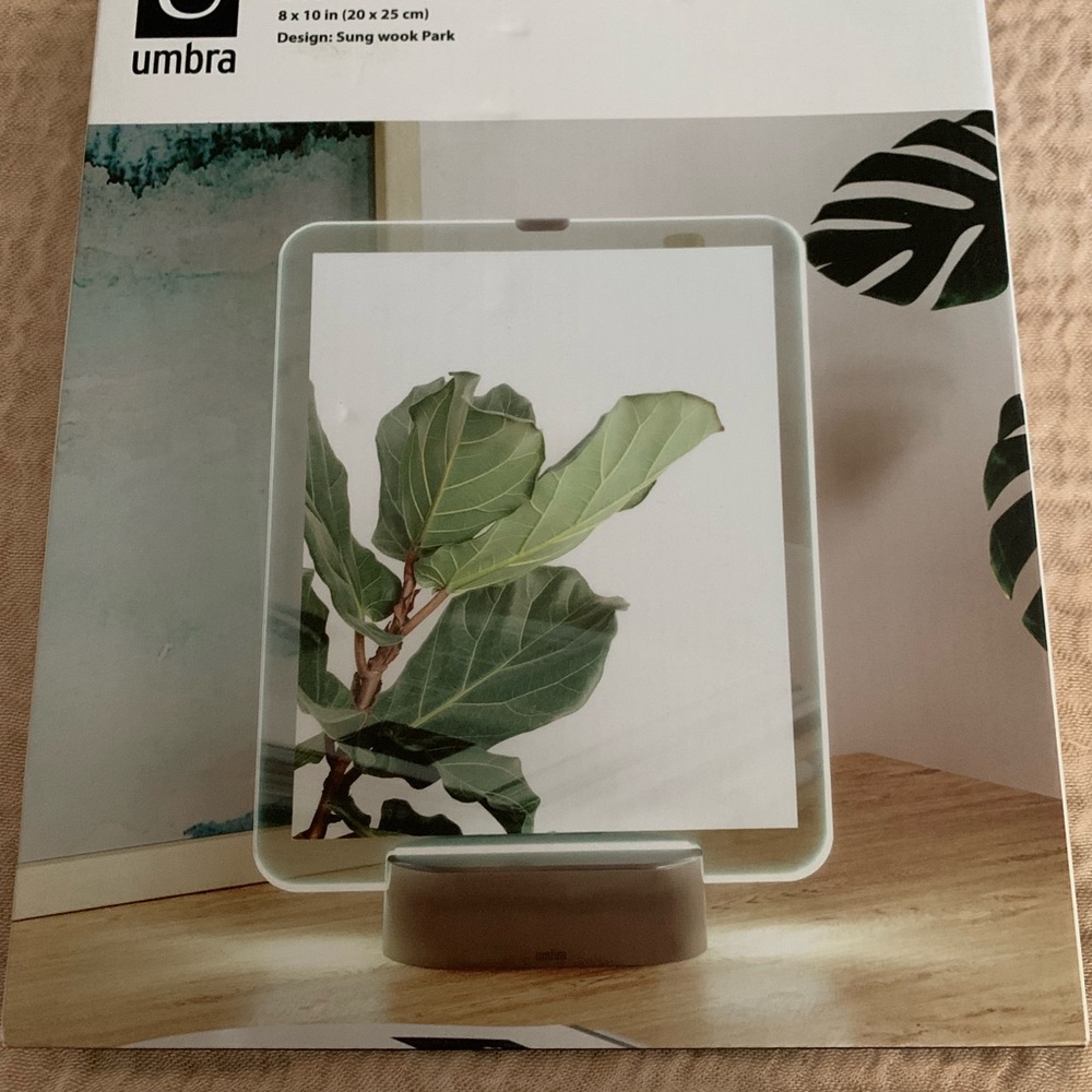 Umbra Modern Floating Frame with Green and Tan Accents